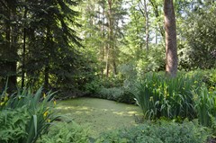 DSC_0051.JPG