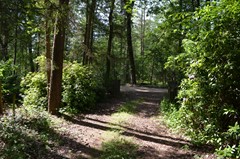 DSC_0057.JPG