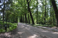 DSC_0063.JPG