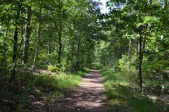 DSC_0067.JPG