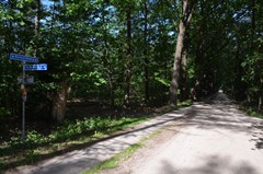 DSC_0065.JPG