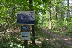 DSC_0071.JPG