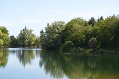 DSC_0078.JPG