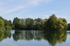 DSC_0079.JPG