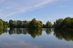 DSC_0081.JPG