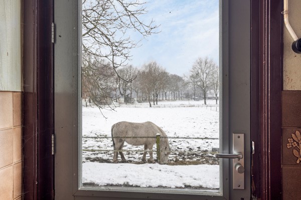 Medium property photo - Enkweg 3, 7021 KD Zelhem