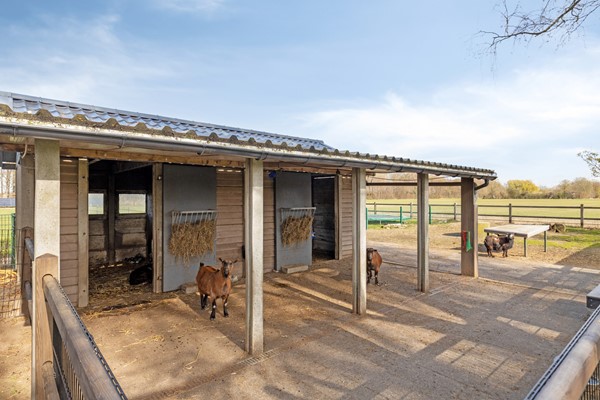 Medium property photo - Koningsweg 10A, 7255 KR Hengelo (Gld)