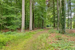 Hackforterweg57234SEWichmond-37.jpg
