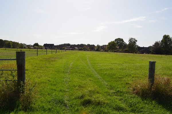 DSC_0061.JPG