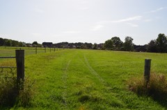 DSC_0061.JPG