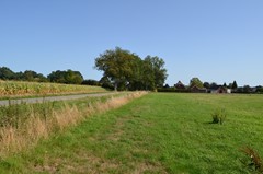 DSC_0024.JPG