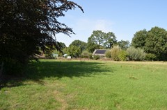 DSC_0036.JPG