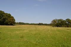 DSC_0039.JPG