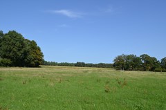DSC_0034.JPG
