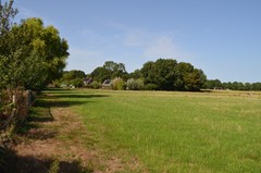 DSC_0044.JPG