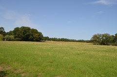 DSC_0045.JPG