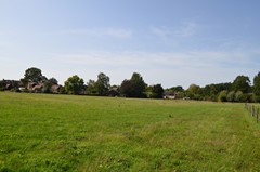 DSC_0055.JPG