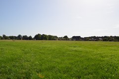 DSC_0059.JPG