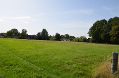 DSC_0063.JPG