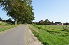 DSC_0066.JPG