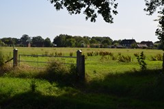 DSC_0070.JPG