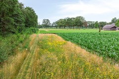 Scharfdijk37255MPHengeloGldNL-09.jpg