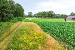 Scharfdijk37255MPHengeloGldNL-10.jpg