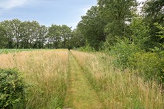Scharfdijk37255MPHengeloGldNL-25.jpg