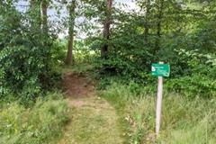 Scharfdijk37255MPHengeloGldNL-32.jpg