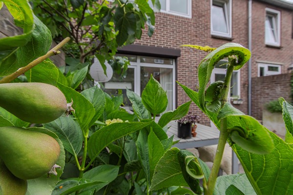 Medium property photo - Lintjensstraat 23, 6417 XS Heerlen