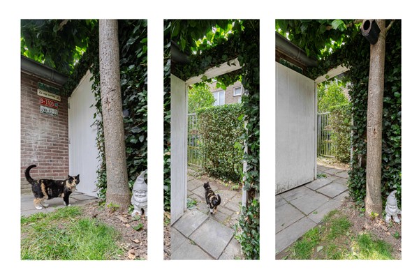 Medium property photo - Lintjensstraat 23, 6417 XS Heerlen