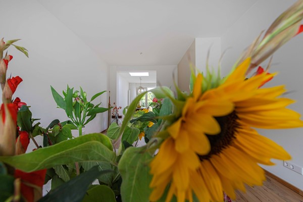 Medium property photo - Keerberg 38, 6367 EJ Voerendaal
