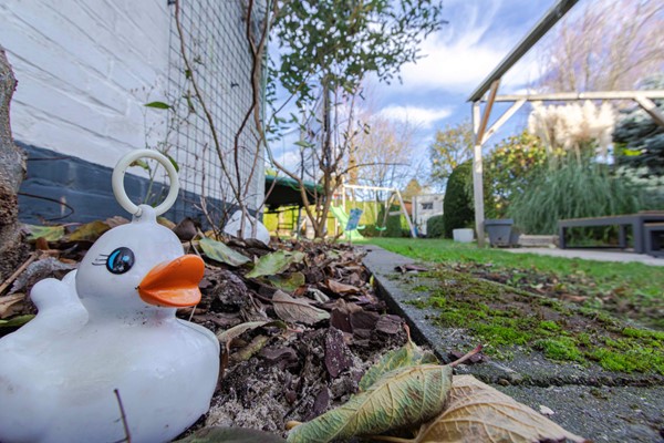 Medium property photo - Frans Halsstraat 9, 6225 CE Maastricht