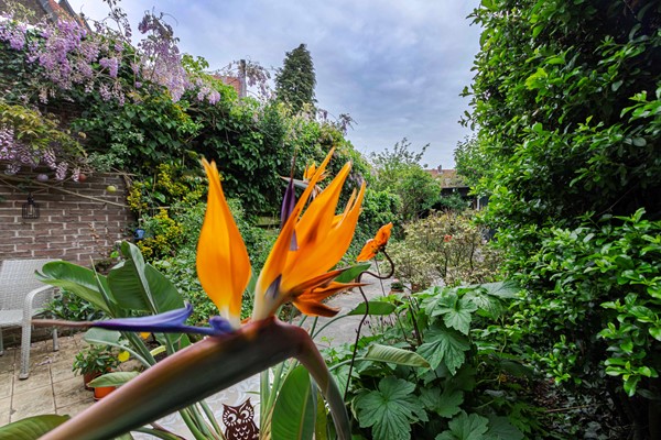 Medium property photo - Ds. Jongeneelstraat 5, 6411 EV Heerlen