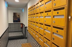 IMG_6977.jpg