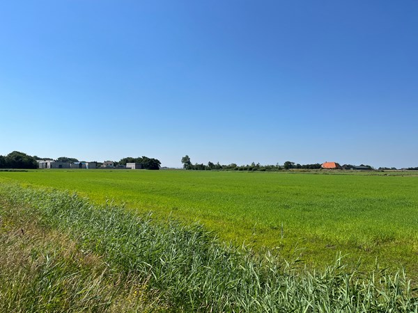 Te koop: Cultuurgrond bij Pontweg, 1791 LA Den Burg