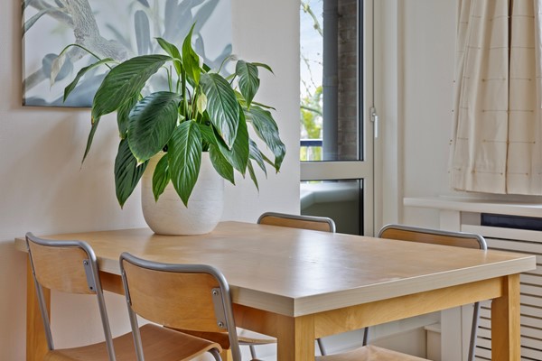 Medium property photo - Quadenoord 178, 3079 XH Rotterdam