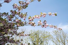 KrommeNering142995BHHeerjansdam-48.jpg