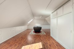 Lisdodde 20_0051.jpg