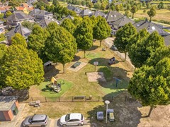 Lisdodde 20_0061.jpg