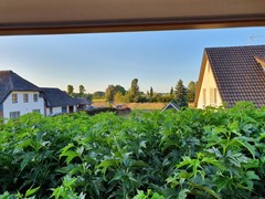 Zum Querdamm 5A, 47559 Kranenburg - 20190807_202412.jpg