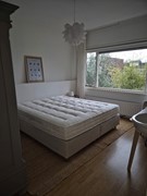 Havikstraat, 6541 PL Nijmegen - 20251203_111302.jpg