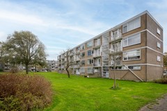 Marko Hoops Photography - 33.jpg