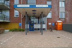 Marko Hoops Photography - 10.jpg