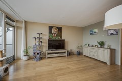 Marko Hoops Photography - 23.jpg