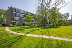 Marko Hoops Photography - 07.jpg