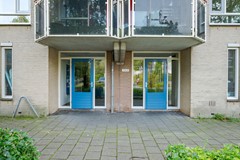 MHP - 06.jpg