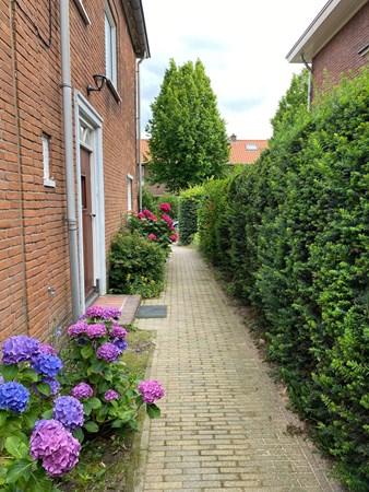 Medium property photo - Hoogstedelaan 6, 6812 DN Arnhem