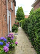 For rent: Hoogstedelaan 6, 6812 DN Arnhem