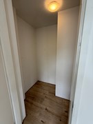 IMG_5799.JPG